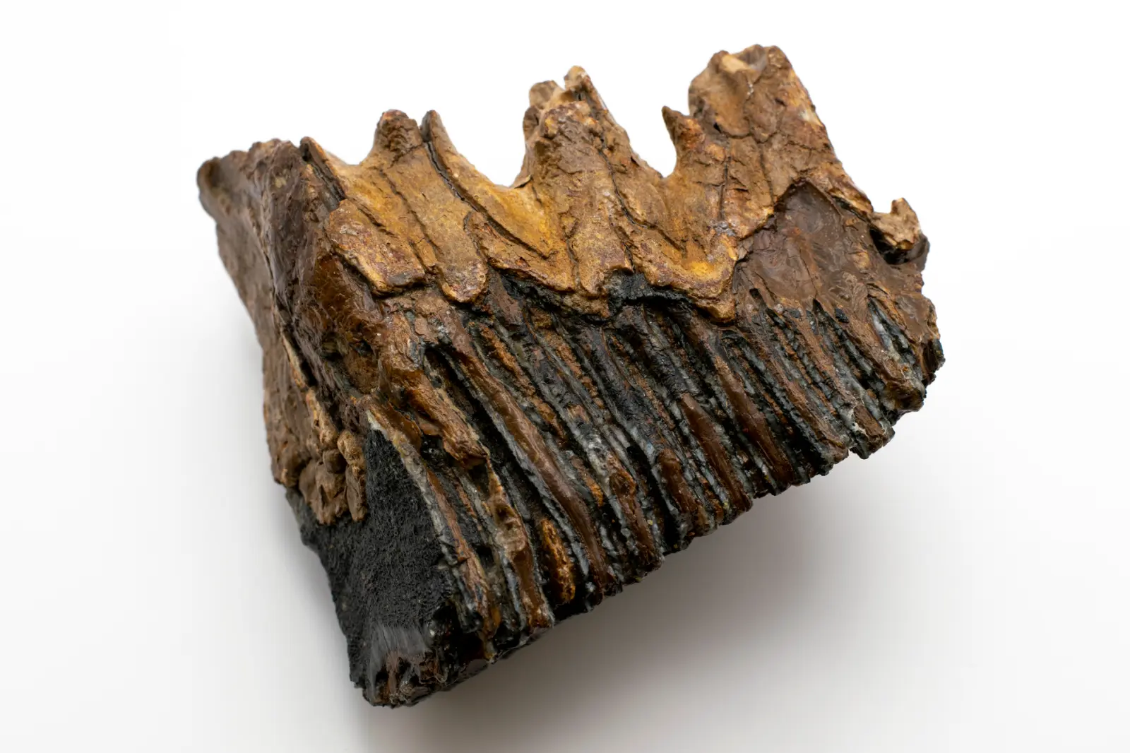 玉林栩沙商贸家居百货产品线梳理与场景化选品建议